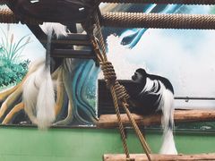 -石家庄市动物园