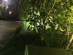 -傣妹火锅(徐泾店)