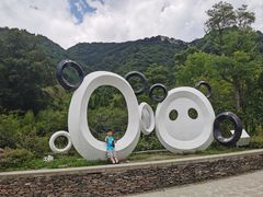 -卧龙中华大熊猫苑神树坪基地