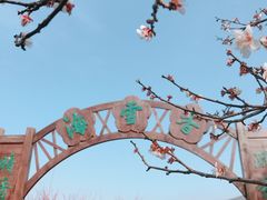 -香雪海