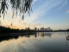 -莲花池公园
