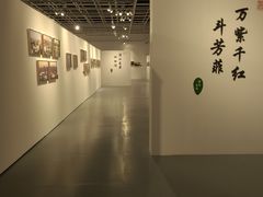 -上海浦东展览馆