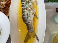 -绿杨春甄选(兴隆大街店)