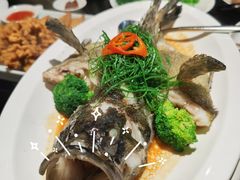 青花椒蒸龙胆鱼-闽和南(深圳万象城店)