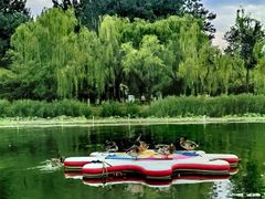 -WhaleSports户外水上运动俱乐部(朝阳公园店)