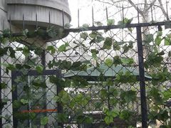 桔子2-杭州西湖桔子水晶酒店