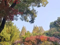 -汇龙潭