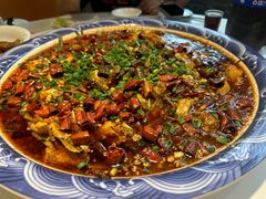 -新概念来凤鱼(璧山店)