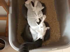 -惠康宠物医院(华能路店)