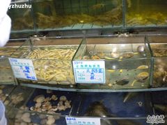 照片&nbsp;098-海岛渔村大酒店(云霄路店)
