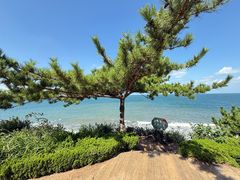 -养马岛旅游度假区