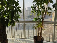 -鲁慈体检(历城店)