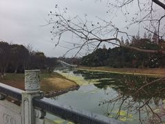 -上海海湾国家森林公园