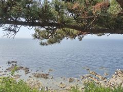 -养马岛旅游度假区