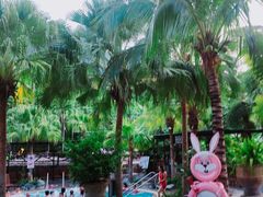 -100蛋泥浆浴