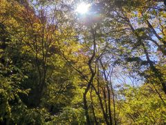 -北京上方山国家森林公园