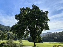 -南沙高尔夫球会