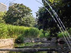 -成都市活水公园