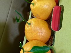 -果叔(红旗街店)