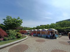 -嘉定紫藤园