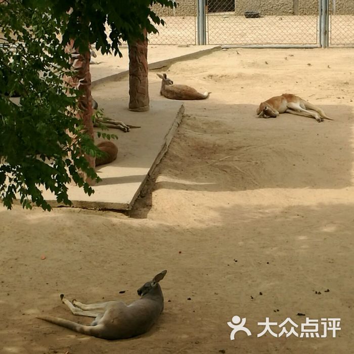 石家莊動物園