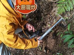 -石燕湖生态旅游景区