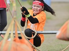 -春花秋色城市公园