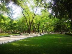 -山东大学(趵突泉校区)