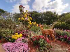 -上海共青森林公园