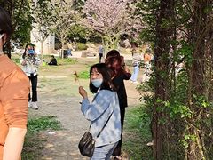 -秀丽东方