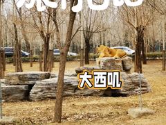 -秦皇岛野生动物园