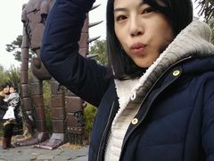 android_upload_pic-三鹰之森吉卜力美术馆