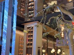 -桂满陇·海市蜃楼·黑金(国金店)