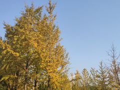 -浙江农林大学(东湖校区)