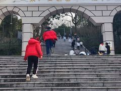 -上海佘山国家森林公园西佘山园