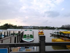 -上海长兴岛郊野公园