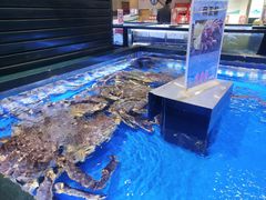 -长申超市(美食城店)