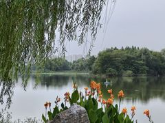 -洋湖国家湿地公园