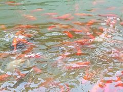 -济南方特东方神画