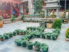 -寂照庵