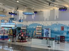 -湘江欢乐城欢乐雪域