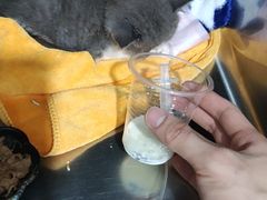 -睿金宠物医院·CT·肿瘤·骨外科