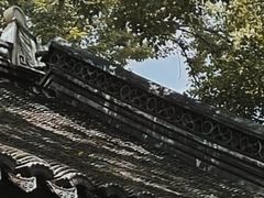 -上海醉白池公园