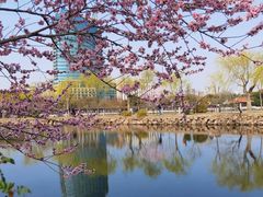 -无锡蠡湖国家湿地公园-蠡园