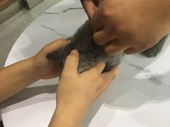 -心仪动物医院·牙专科·肿瘤·心脏科(西客站院)