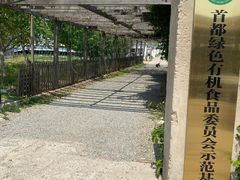 -大自然农场蔬菜草莓采摘园