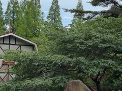 -神户市立六甲山牧场