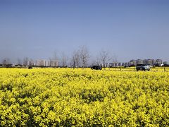 -嬉子湖生态旅游区