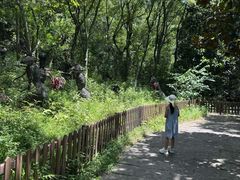 -天目湖山水园