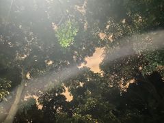 -杭州林泉山庄